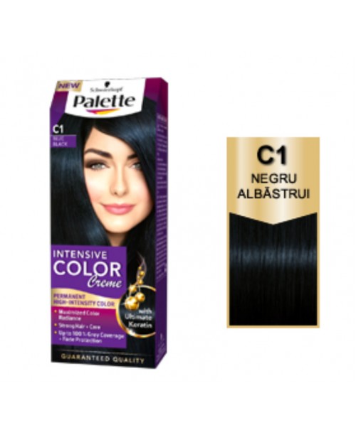 Palette Intensive Color Creme C1 - Negru Albastru
