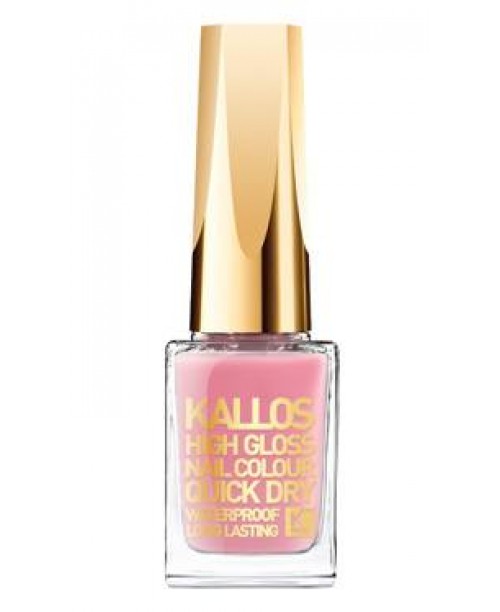 Lac de unghii High Gloss 27